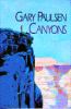 Book Jacket