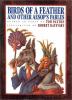 Book Jacket