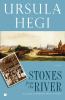 Book Jacket