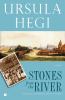 Book Jacket