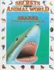 Book Jacket