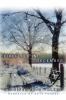 Book Jacket