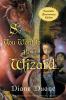 So you Want to be a Wizard