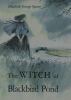 The Witch Of Blackbird Pond