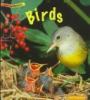 Book Jacket