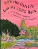 Book Jacket