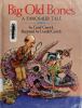 Book Jacket