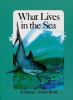 Book Jacket