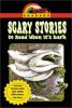 Book Jacket