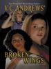 Book Jacket