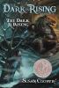 Book Jacket