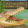 Book Jacket