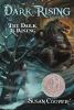 Book Jacket