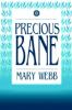 Book Jacket
