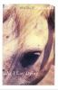 Book Jacket