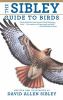 Book Jacket