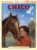 Book Jacket