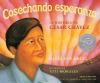 Click to search this book in our catalog