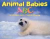 Click to search this book in our catalog
