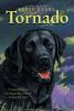 Click to search this book in our catalog