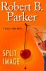 Click to search this book in our catalog