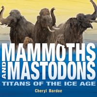 Click to search this book in our catalog