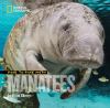 Click to search this book in our catalog