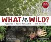 Click to search this book in our catalog