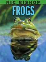 Click to search this book in our catalog